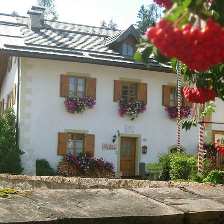 Achillea Bed & Breakfast Vigo di Fassa Kültér fotó