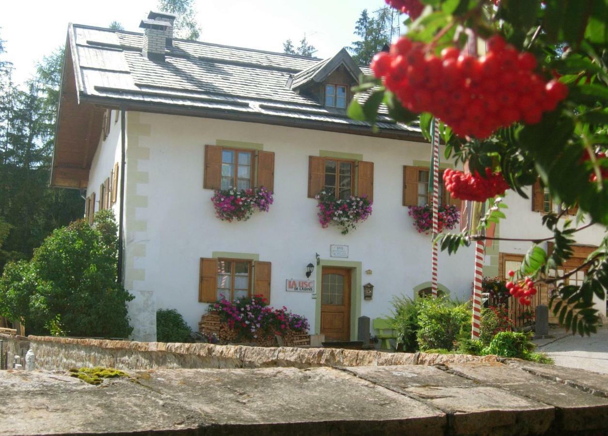 Achillea Bed & Breakfast Vigo di Fassa Kültér fotó
