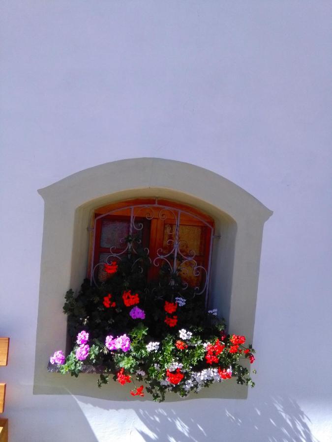 Achillea Bed & Breakfast Vigo di Fassa Kültér fotó